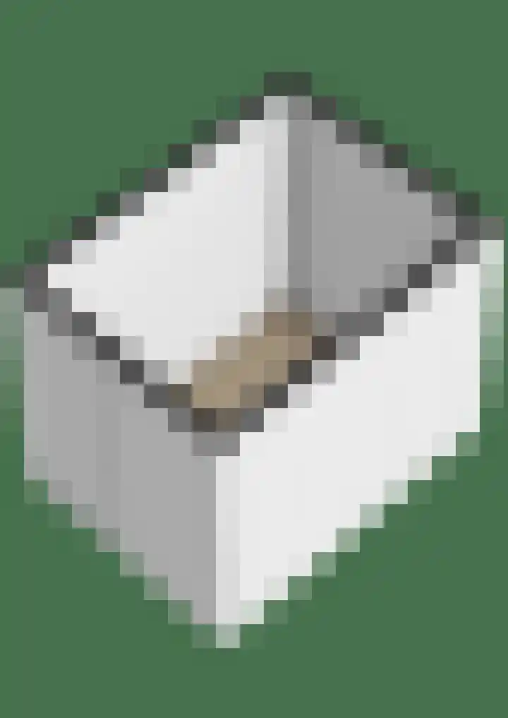 Calla 69 Voorhout thumbnail 41
