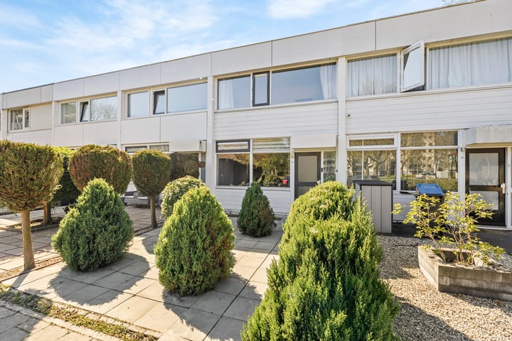 Callistopad 15 in Helmond foto