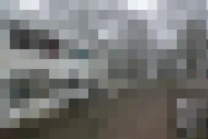 Callistopad 6 Helmond thumbnail 37