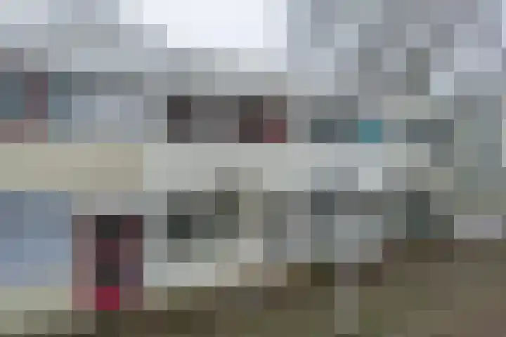 Callistopad 6 Helmond thumbnail 38