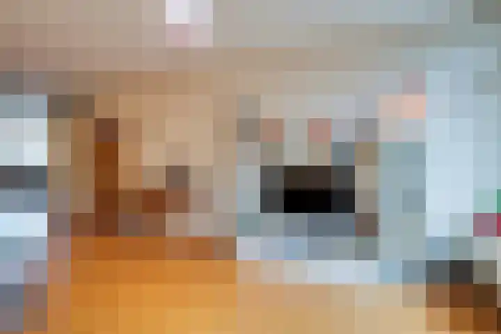 Callistopad 6 Helmond thumbnail 8