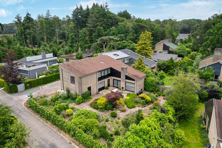 Callunaheuvel 2 in Leersum foto