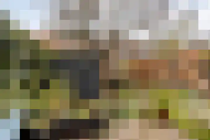 Callunastraat 45 Arnhem thumbnail 32