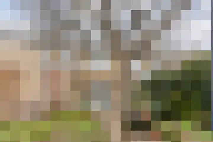 Callunastraat 45 Arnhem thumbnail 34