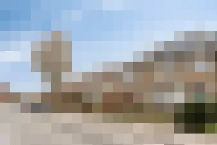 Callunastraat 45 Arnhem thumbnail 36