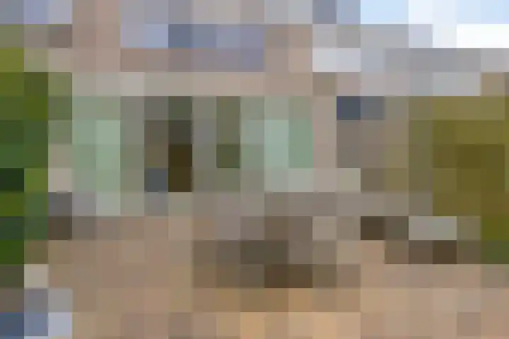 Calsstraat 58 Goes thumbnail 38