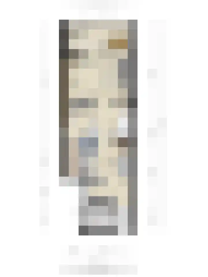 Calsstraat 58 Goes thumbnail 43