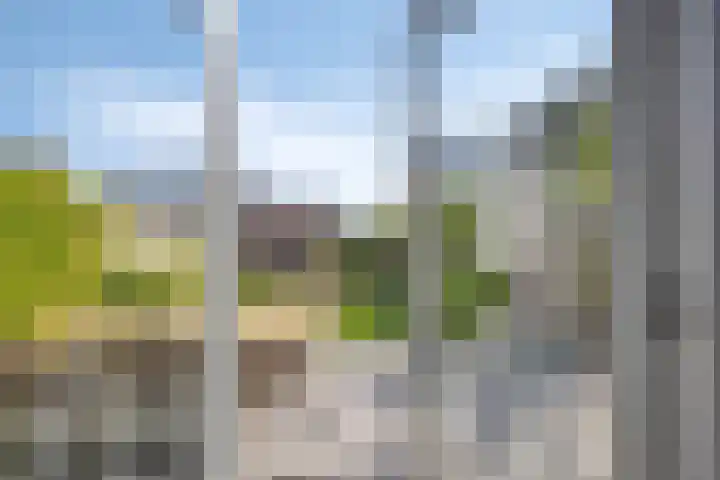 Cambara 25 Rosmalen thumbnail 10
