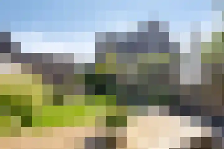 Cambara 25 Rosmalen thumbnail 11