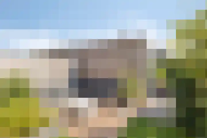 Cambara 25 Rosmalen thumbnail 12