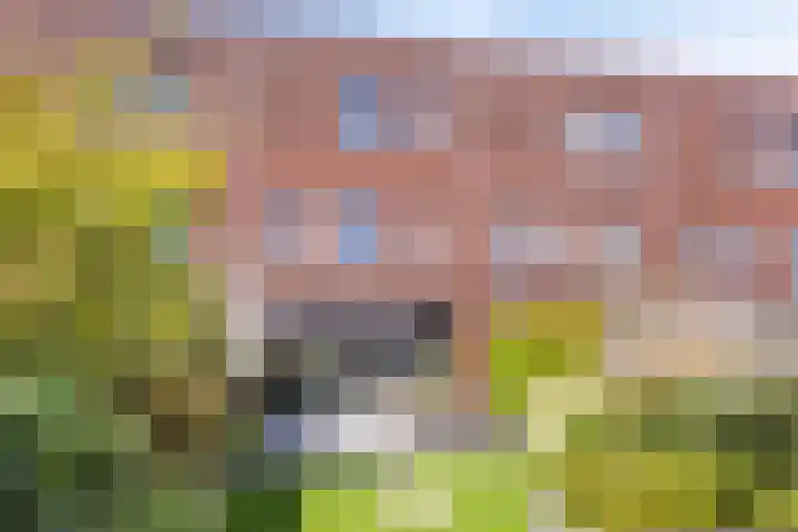 Cambara 25 Rosmalen thumbnail 13