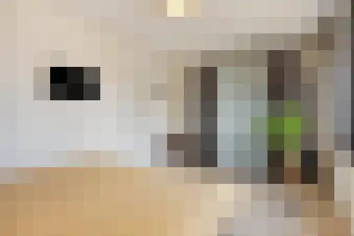 Cambara 25 Rosmalen thumbnail 17
