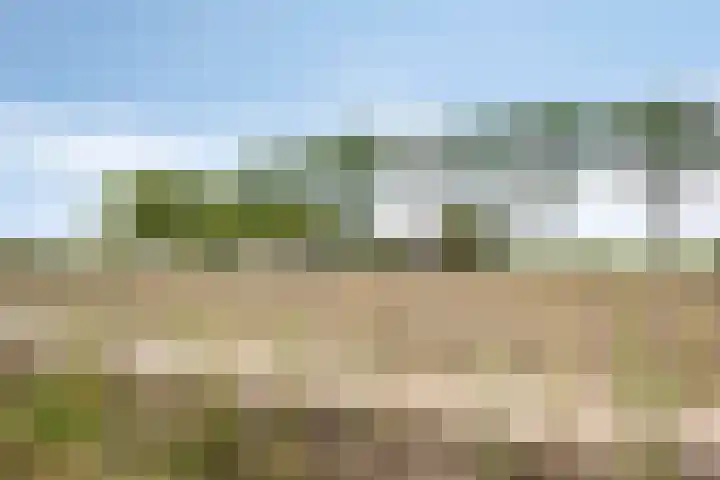 Cambara 25 Rosmalen thumbnail 32