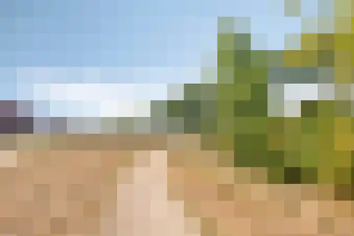 Cambara 25 Rosmalen thumbnail 34