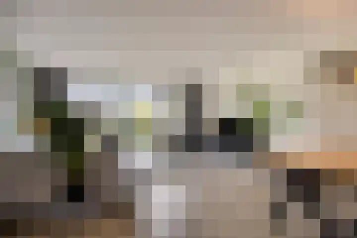 Cambara 25 Rosmalen thumbnail 4