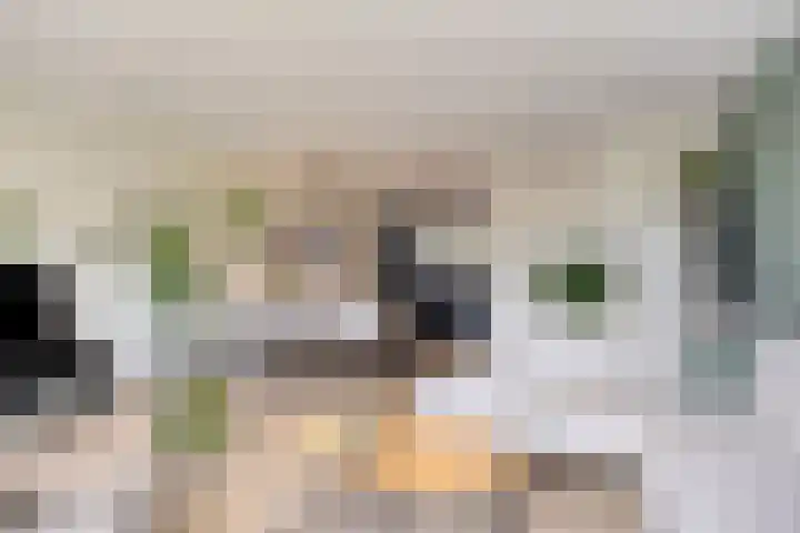 Cambara 25 Rosmalen thumbnail 5