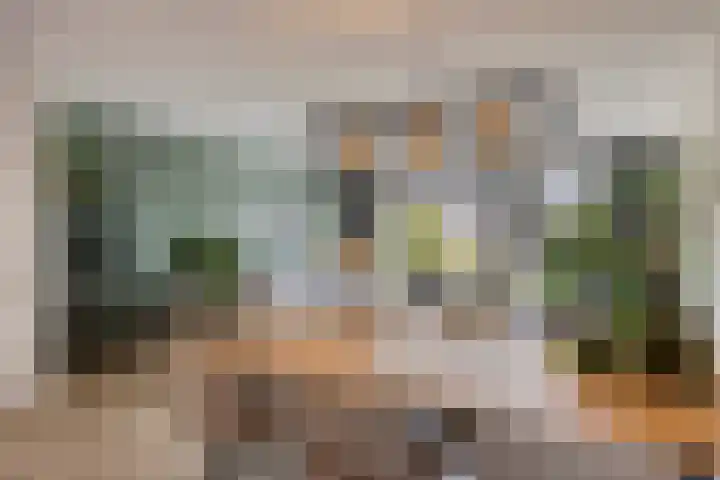 Cambara 25 Rosmalen thumbnail 6