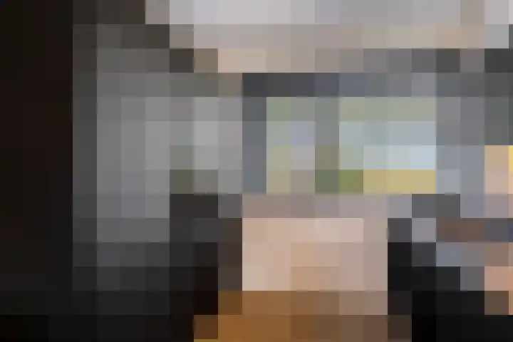 Cambara 25 Rosmalen thumbnail 9