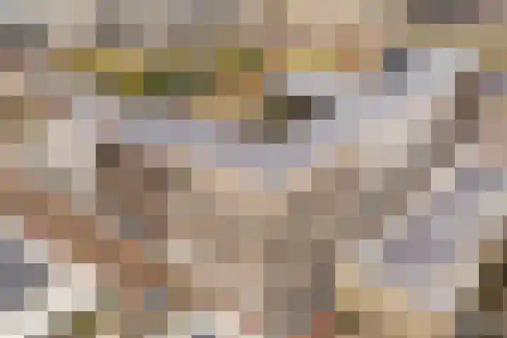 Logo Campagne Makelaardij