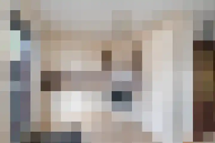 Campbellhof 10 A Dronten thumbnail 11