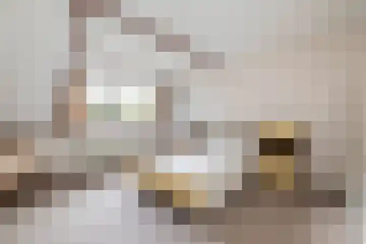 Campbellhof 10 A Dronten thumbnail 12