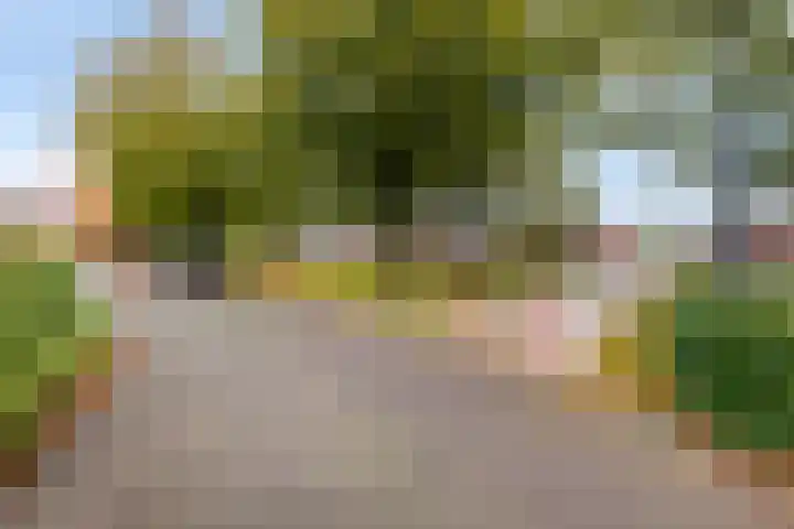 Campbellhof 10 A Dronten thumbnail 23