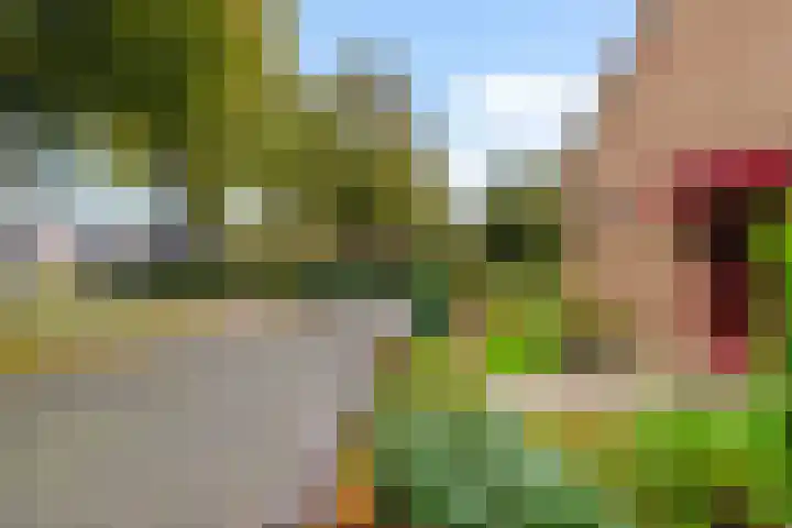 Campbellhof 10 A Dronten thumbnail 24