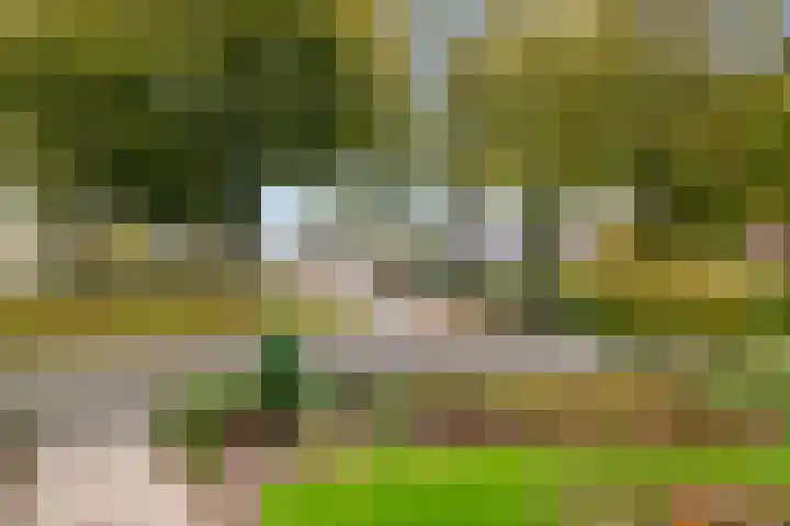 Campbellhof 10 A Dronten thumbnail 25