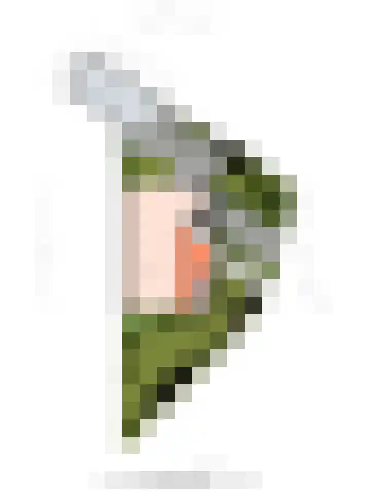 Campbellhof 10 A Dronten thumbnail 26