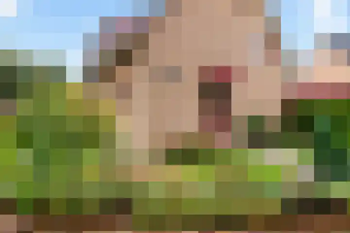 Campbellhof 10 A Dronten thumbnail 4
