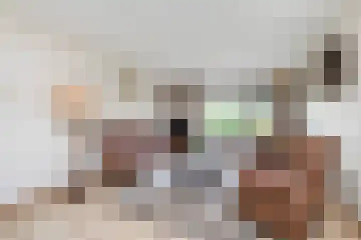Campbellhof 10 A Dronten thumbnail 8