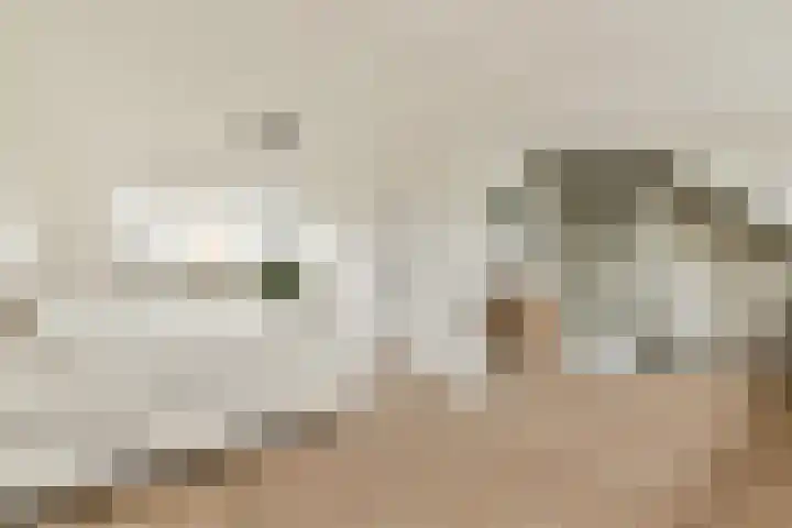 Camphuysendreef 19 Leiderdorp thumbnail 29