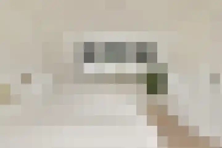 Camphuysendreef 19 Leiderdorp thumbnail 31