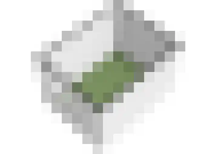 Camphuysendreef 19 Leiderdorp thumbnail 49