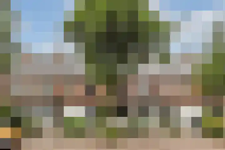 Camphuysendreef 19 Leiderdorp thumbnail 51