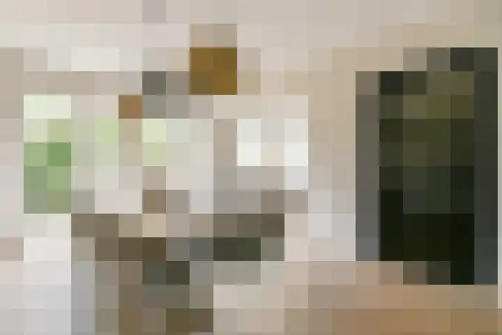 Camphuysendreef 19 Leiderdorp thumbnail 7