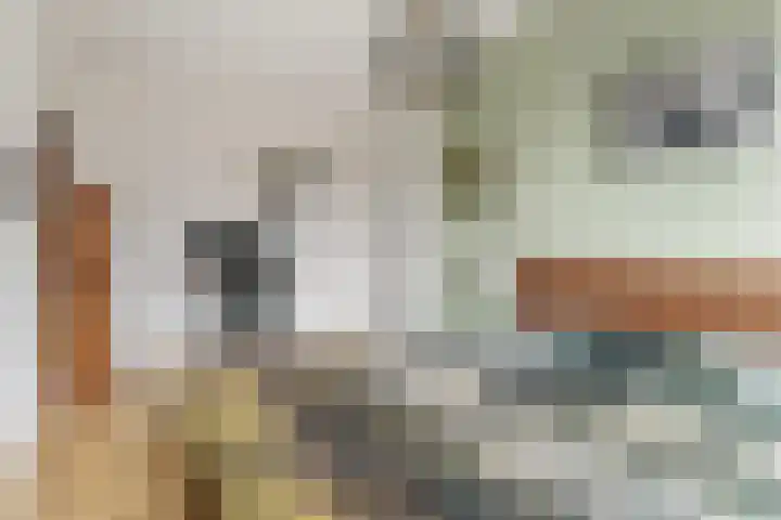 Campinasdreef 30 Utrecht thumbnail 19