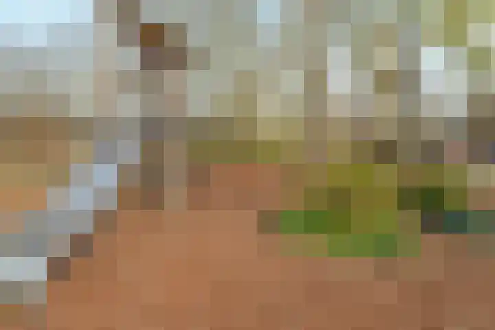 Campinasdreef 30 Utrecht thumbnail 36