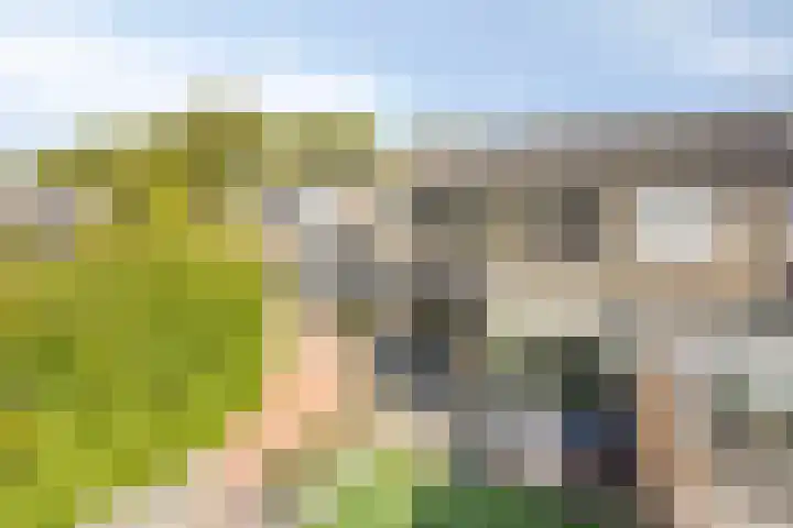 Campinge 12 Zuidlaren thumbnail 47