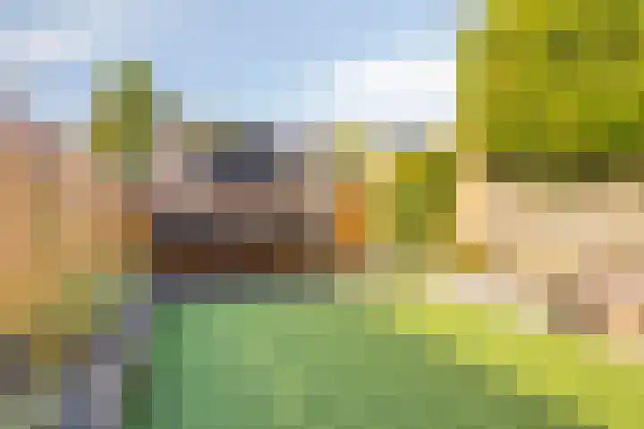 Campinge 12 Zuidlaren thumbnail 50