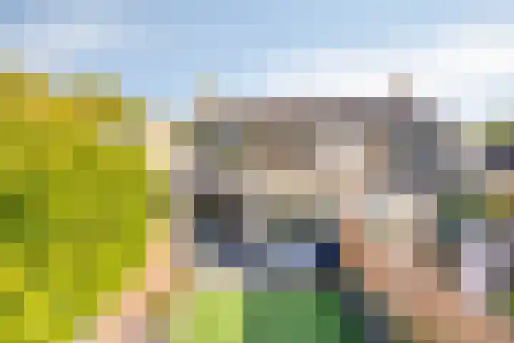 Campinge 12 Zuidlaren thumbnail 52