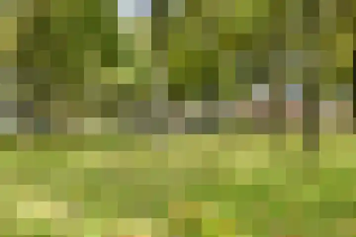 Campinge 12 Zuidlaren thumbnail 53