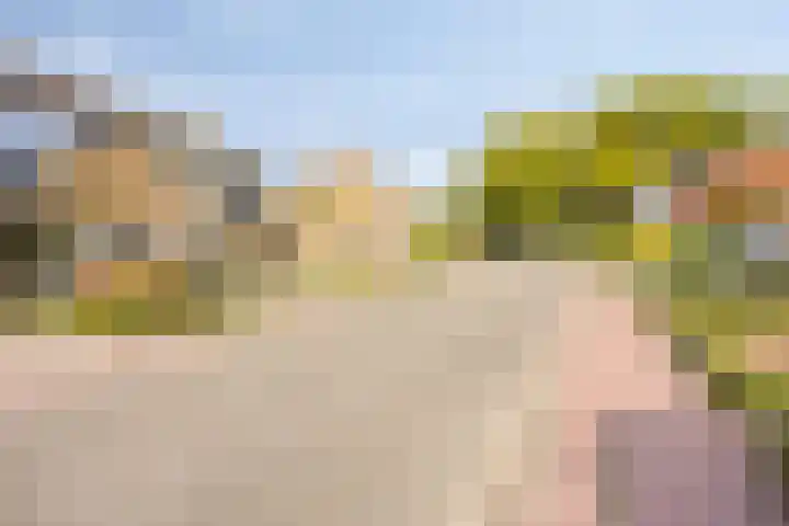 Campinge 12 Zuidlaren thumbnail 9
