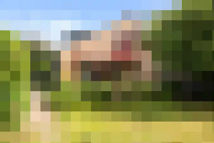 Campstede 1 Doesburg thumbnail 21