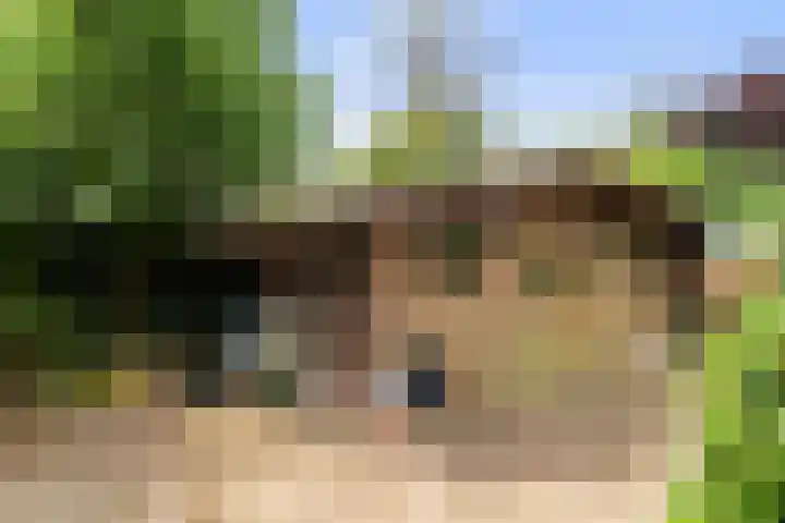 Campstede 1 Doesburg thumbnail 22