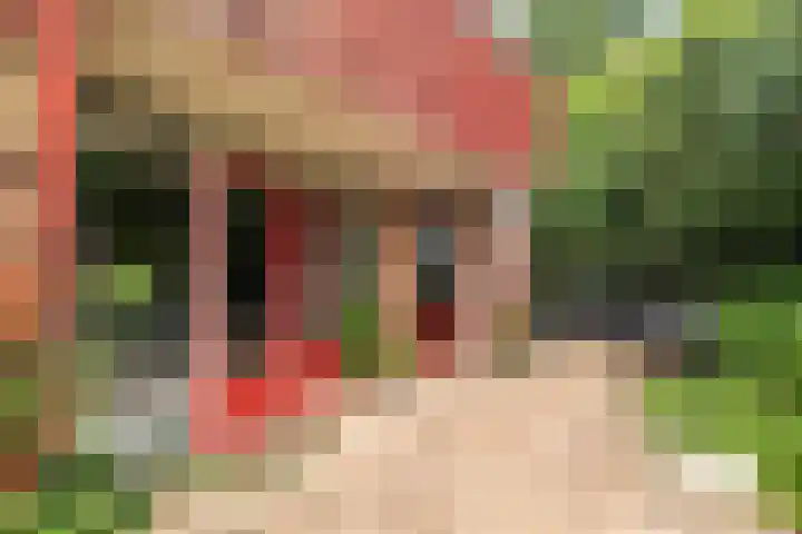 Campstede 1 Doesburg thumbnail 23
