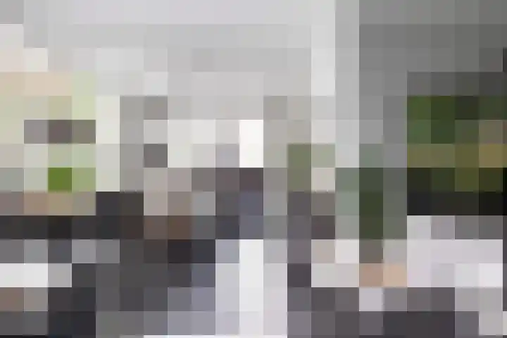 Campstede 1 Doesburg thumbnail 7
