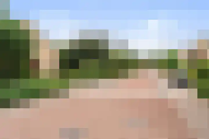 Campstede 1 Doesburg thumbnail 8