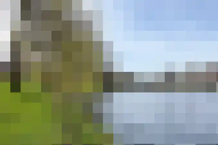 Canadaplein 3 B Alkmaar thumbnail 40