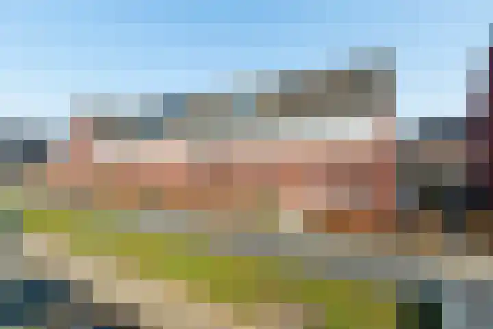 Canadasingel 80 Zutphen thumbnail 38